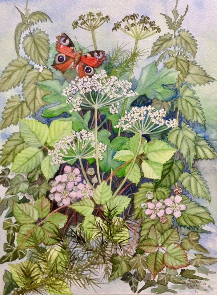 butterfly