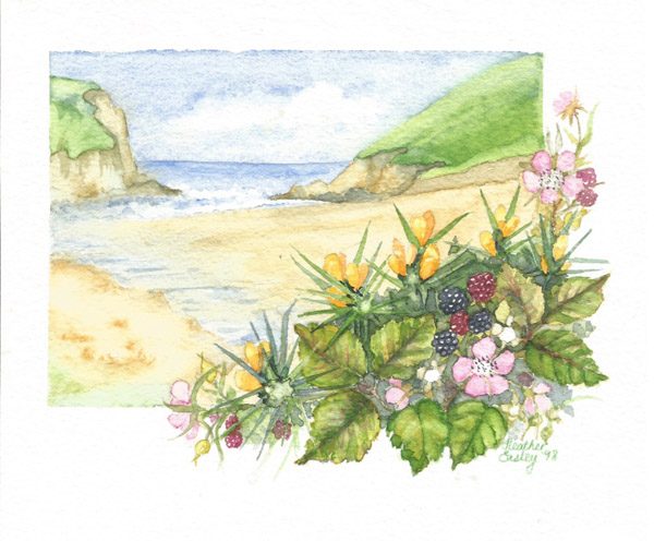 Peaceful Cove