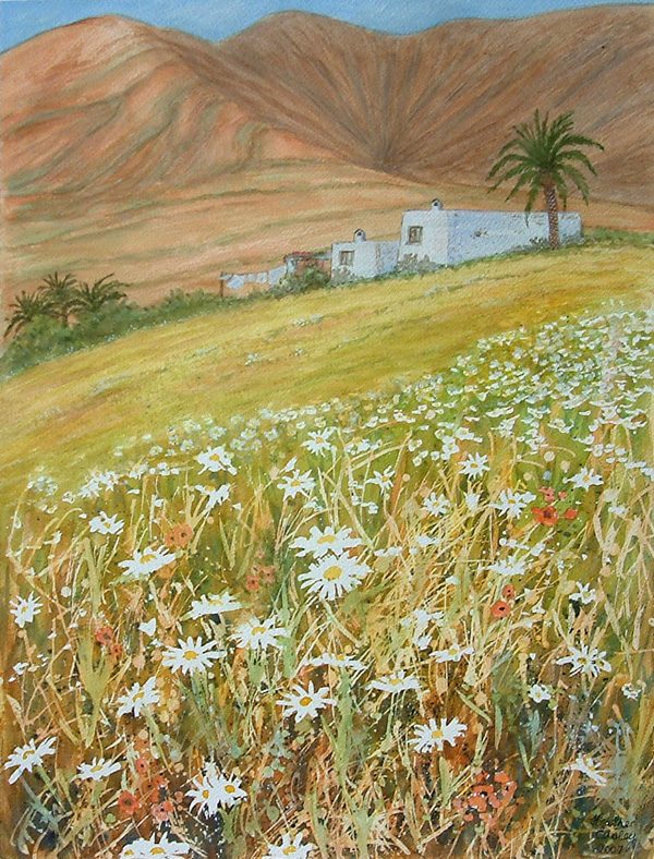 Fuerteventura Spring